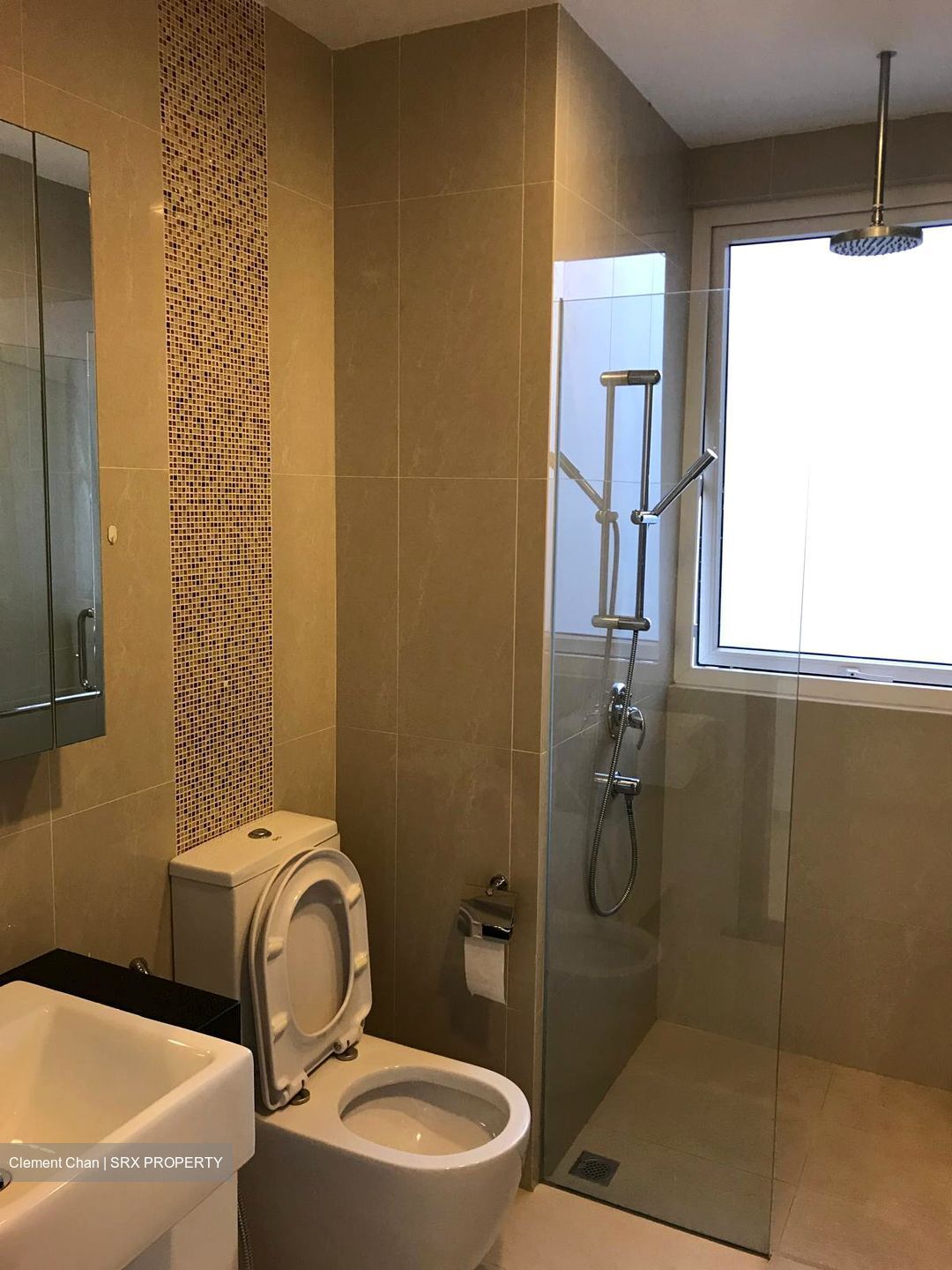 8 Bassein (D11), Apartment #495273481